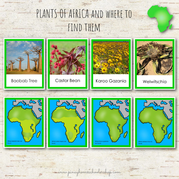 Plants of Africa Montessori 3 Part Cards
