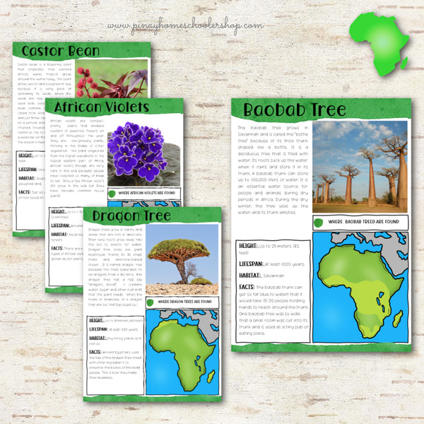 Plants of Africa Montessori 3 Part Cards