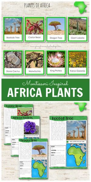 Plants of Africa Montessori 3 Part Cards