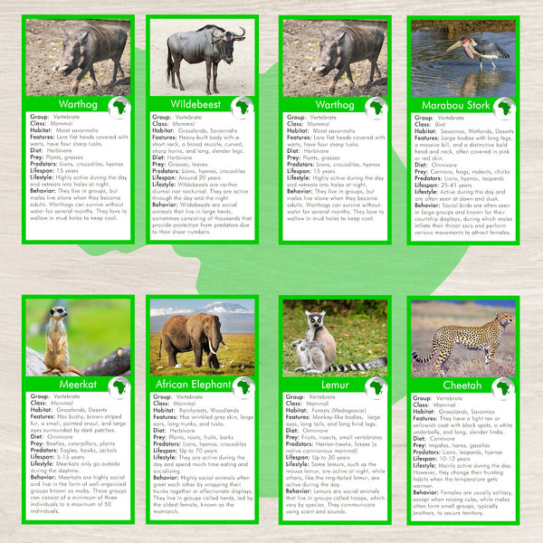 Animals of Africa Montessori  3 Part Cards with Fact Cards