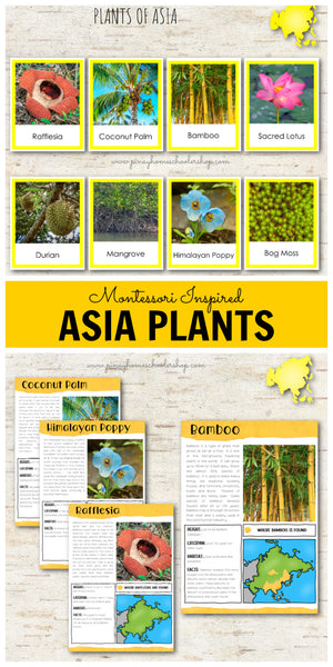 Plants of Asia Montessori 3 Part Cards