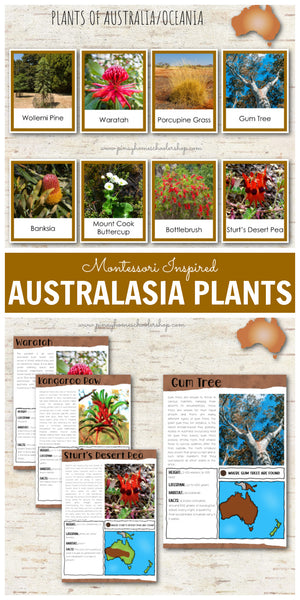 Plants of Australia Oceania Montessori 3 Part Cards