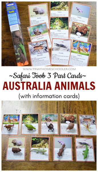 Montessori Australian Continent Animals Toob 3 Part Cards