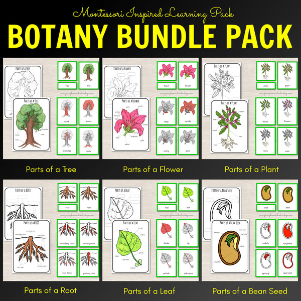 Botany Bundle - Montessori Pack