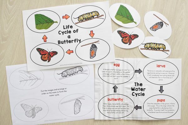 Growing BUNDLE of Life Cycle Activity Sets