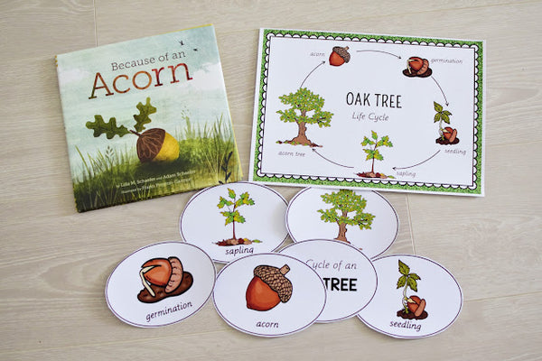 Growing BUNDLE of Life Cycle Activity Sets