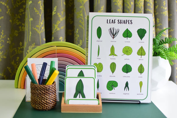 Leaf Shapes Montessori 3 Part Cards