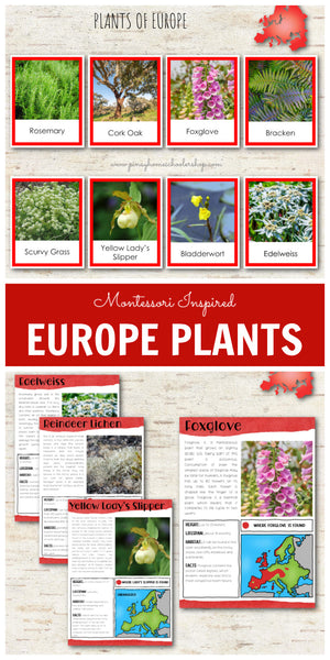 Plants of Europe Montessori 3 Part Cards