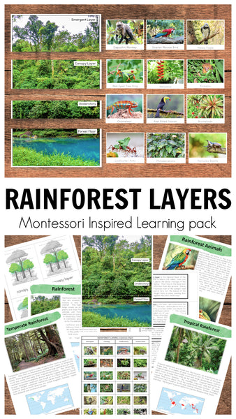 Layers of Rainforest Montessori Inspired Materials