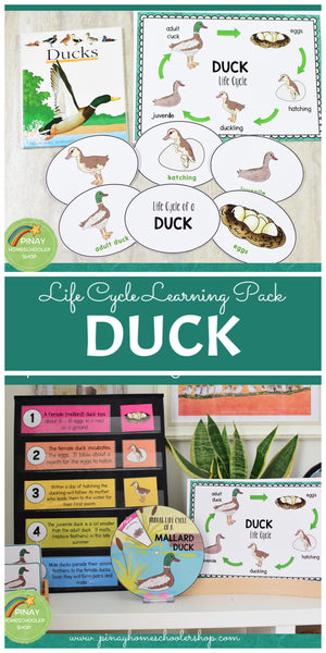 Growing BUNDLE of Life Cycle Activity Sets