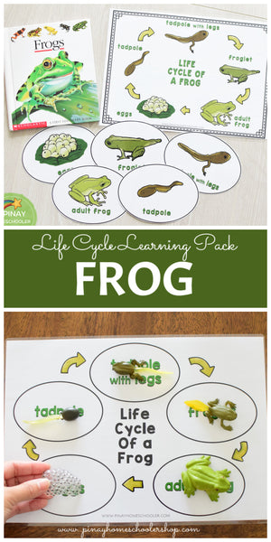 Growing BUNDLE of Life Cycle Activity Sets