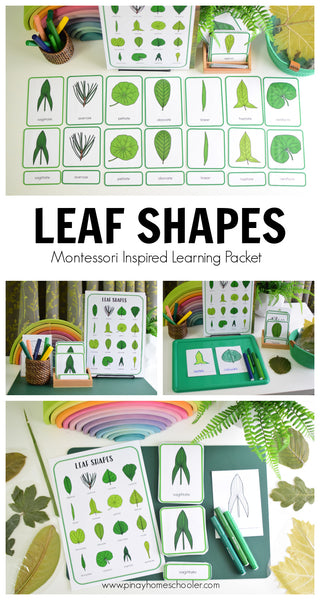 Leaf Shapes Montessori 3 Part Cards