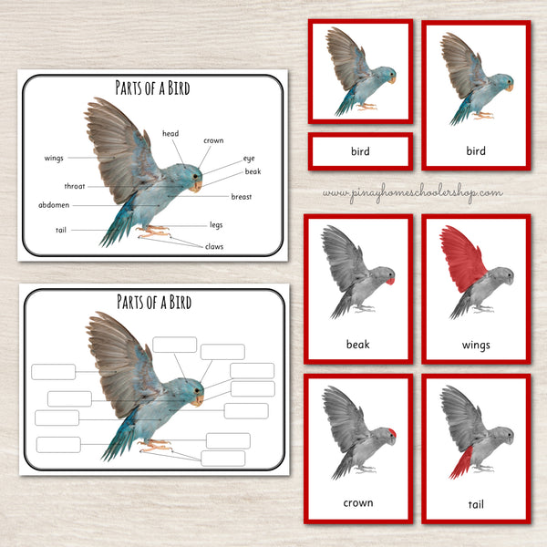 Montessori 3 Part Cards Zoology BUNDLE