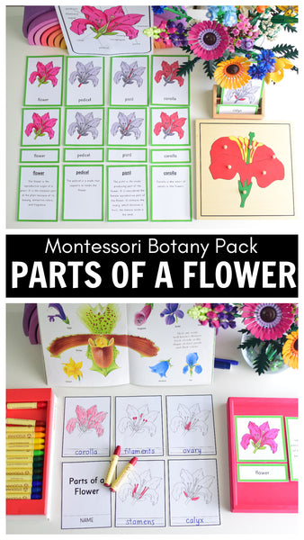 Botany Bundle - Montessori Pack