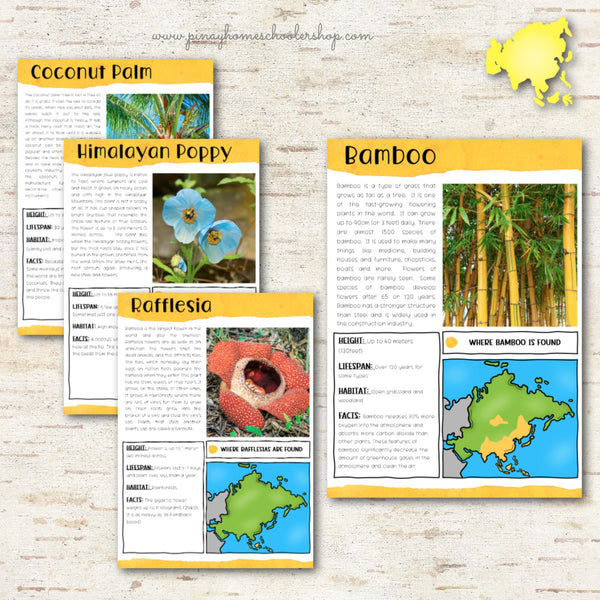 Plants of Asia Montessori 3 Part Cards