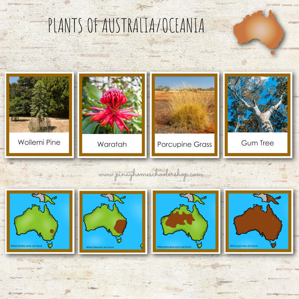 Plants of Australia Oceania Montessori 3 Part Cards