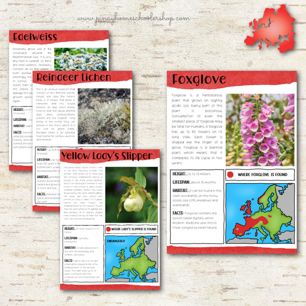 Plants of Europe Montessori 3 Part Cards