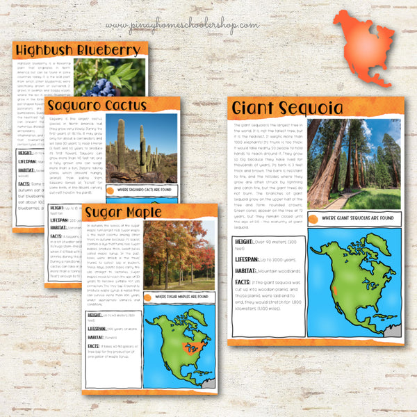 Plants of North America Montessori 3 Part Cards