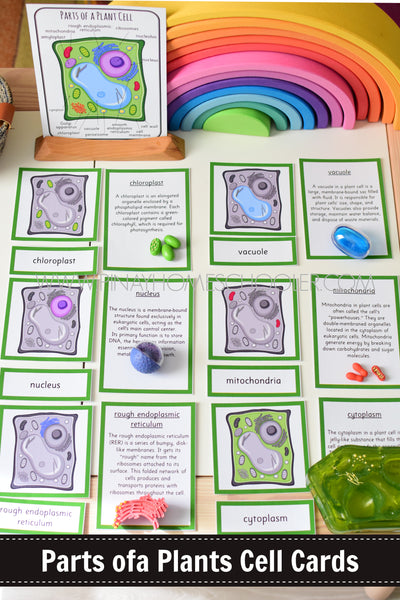 Parts of a Plant Cell Montessori 3 Part Cards | 4 Part Cards