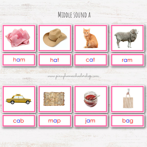 CVC Words Montessori Pink Series 3 Part Cards - Vowel A