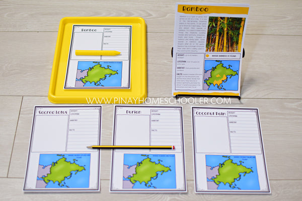 Plants of Asia Montessori 3 Part Cards