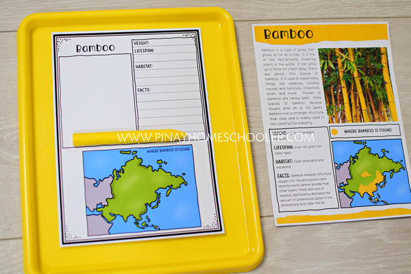 Plants of Asia Montessori 3 Part Cards