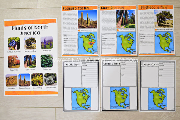 Plants of North America Montessori 3 Part Cards