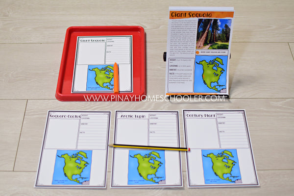 Plants of North America Montessori 3 Part Cards