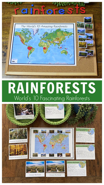 Rainforests - World's 10 Fascinating Rainforests
