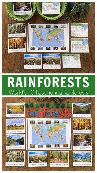 Rainforests - World's 10 Fascinating Rainforests