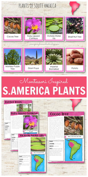 Plants of South America Montessori 3 Part Cards
