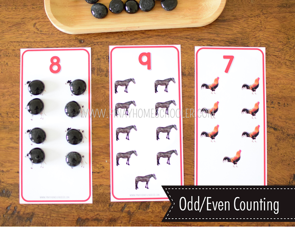 Safari Toob Farm Preschool Kindergarten Activity Pack