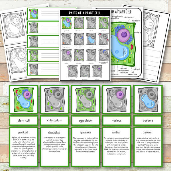 Parts of a Plant Cell Montessori 3 Part Cards | 4 Part Cards