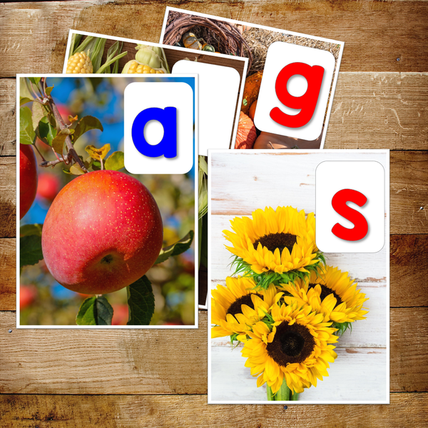 Autumn Fall Toddler Unit