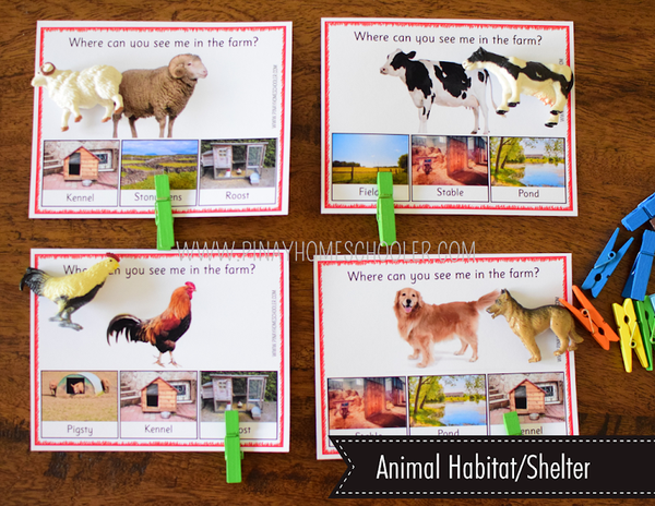 Safari Toob Farm Preschool Kindergarten Activity Pack