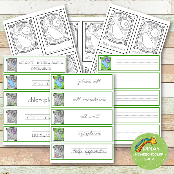 Parts of a Plant Cell Montessori 3 Part Cards | 4 Part Cards