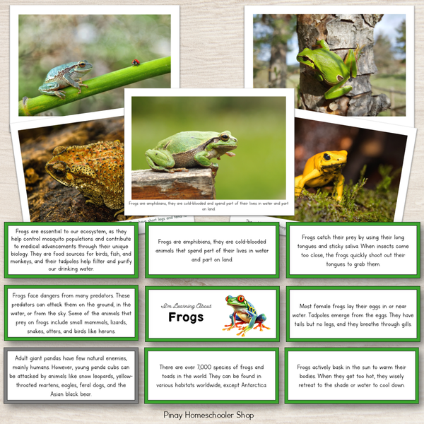 Learning About Frogs - Fact Cards and Photos