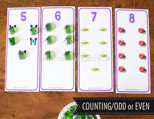 Safari Toob Insect Preschool Kindergarten Learning Pack