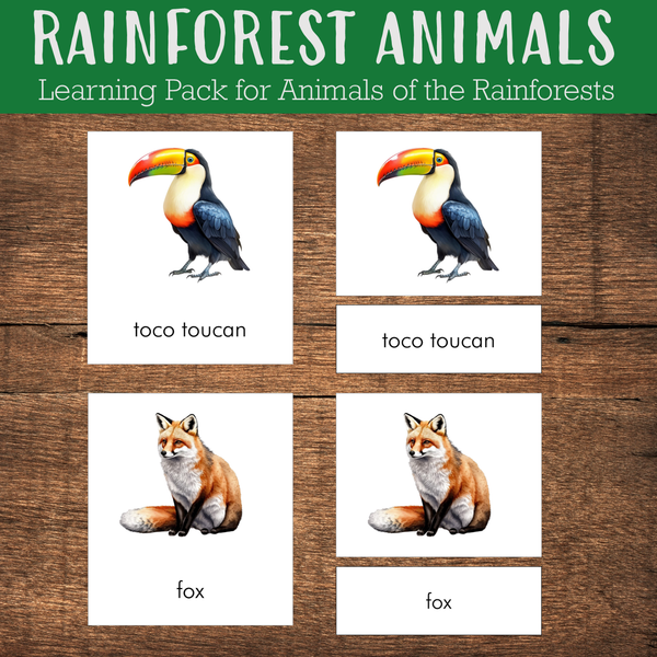 Animals of the Rainforests