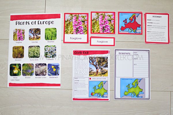 Plants of Europe Montessori 3 Part Cards