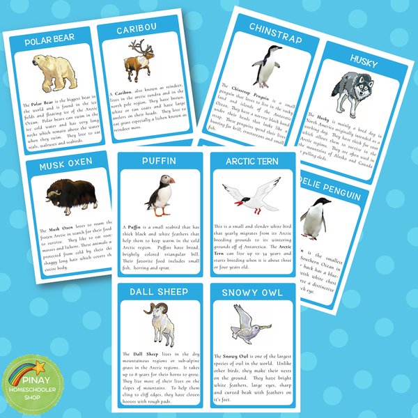 Arctic and Antarctic Preschool and Kindergarten Mini Unit Activities