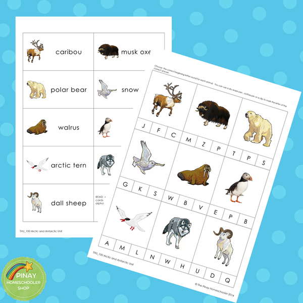 Arctic and Antarctic Preschool and Kindergarten Mini Unit Activities