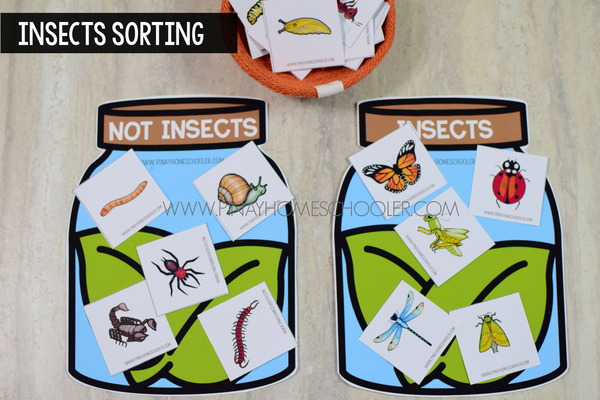 Bugs and Creepy Crawlers Math and Literacy Centers