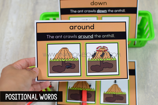 Bugs and Creepy Crawlers Math and Literacy Centers