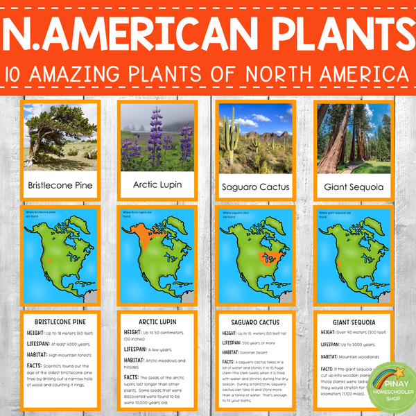 Plants Around the World Bundle Pack (COMPLETE)