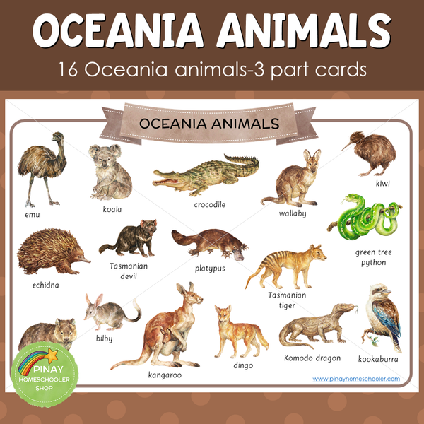 Oceania / Australia Animals Montessori 3 Part Cards