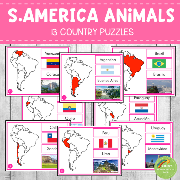 Montessori South America Country Facts Puzzles