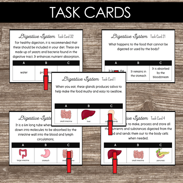 Montessori Inspired Digestive System Learning Packet