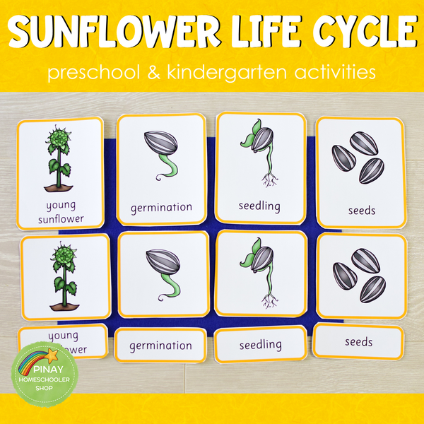 Sunflower Life Cycle Set - Montessori Inspired