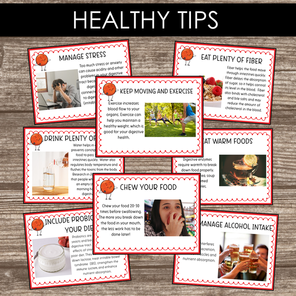 Montessori Inspired Digestive System Learning Packet